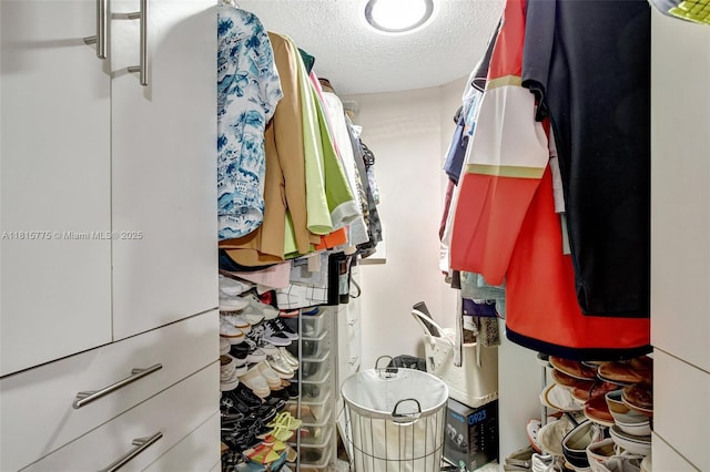 9012 Lake Park Cir S, Davie, FL 33328 - view of spacious closet