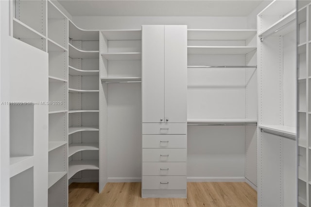 7215 Great Falls Cir, Boynton Beach, FL 33437 - walk in closet with light wood finished floors