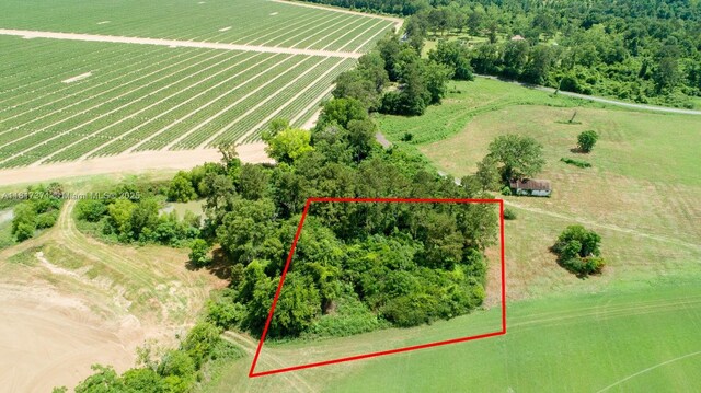 0 Tyler Sanders Rd Fl, Quincy, FL 32352 - photo 1