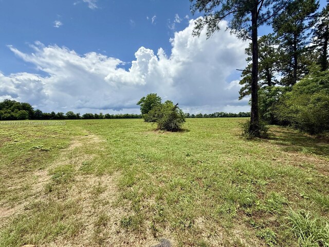0 Tyler Sanders Rd Fl, Quincy, FL 32352 - photo 3