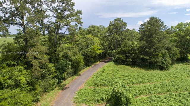 0 Tyler Sanders Rd Fl, Quincy, FL 32352 - photo 5