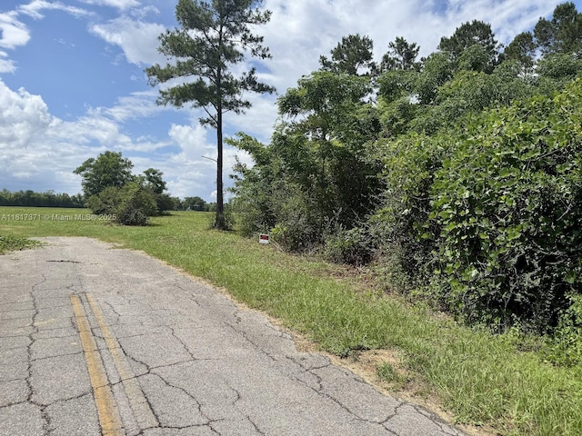 0 Tyler Sanders Rd Fl, Quincy, FL 32352 - photo 12