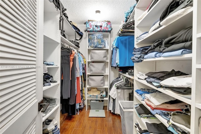 1100 SE 5th Ct Unit 87, Pompano Beach, FL 33060 - spacious closet with wood finished floors