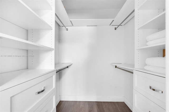 1013 S 24th Ave, Hollywood, FL 33020 - walk in closet with dark wood-style floors