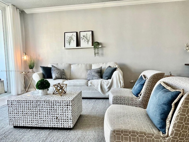 5601 Collins Ave Unit 923, Miami Beach, FL 33140 - living area featuring crown molding and carpet flooring