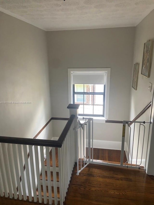 1270 Windsor Pl, Jacksonville, FL 32205 - photo 21