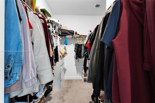 10225 SW 231st Ln, Miami, FL 33190 - spacious closet with carpet floors