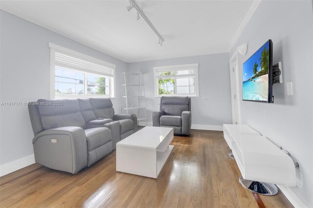 1100 11th St Unit 208, Miami Beach, FL 33139 - living area featuring wood finished floors, track lighting, baseboards, and ornamental molding