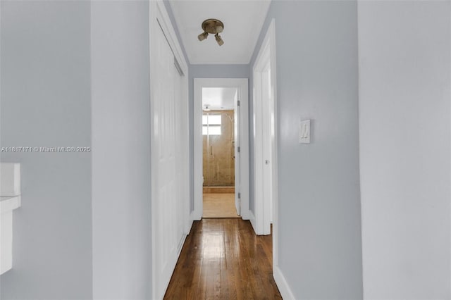 1100 11th St Unit 208, Miami Beach, FL 33139 - hall featuring dark wood finished floors, baseboards, and crown molding