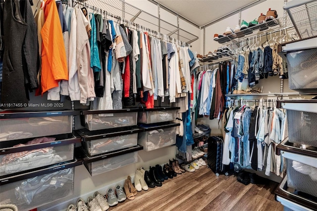 22791 SW 88th Pl, Cutler Bay, FL 33190 - spacious closet with wood finished floors
