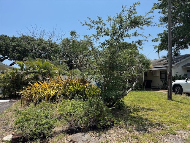 1134 NE 5th Ter, Fort Lauderdale, FL 33304 - view of grassy yard