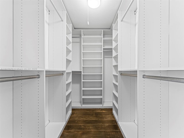 5976 SW 88th Pl, Miami, FL 33173 - walk in closet featuring dark wood-style flooring
