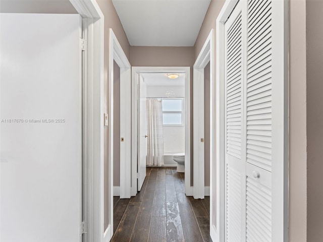 5976 SW 88th Pl, Miami, FL 33173 - corridor with dark wood-style floors and baseboards
