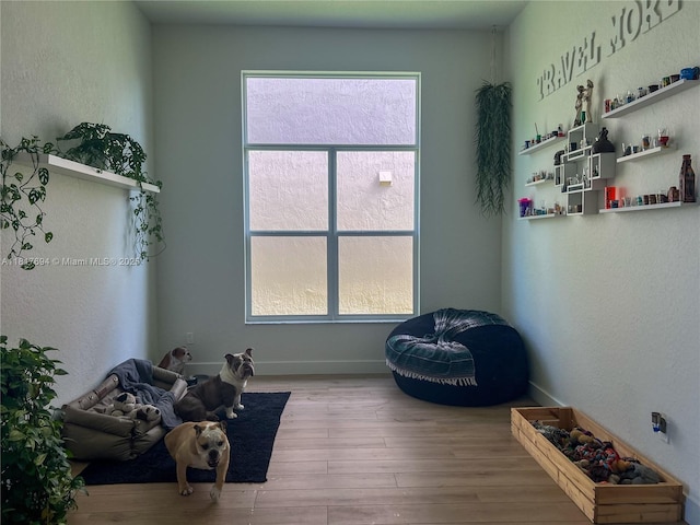 7714 NW 70th Way, Parkland, FL 33067 - misc room with wood finished floors and healthy amount of natural light
