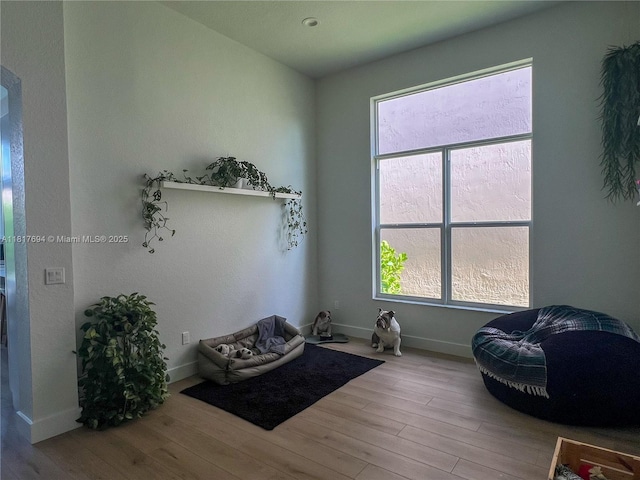 7714 NW 70th Way, Parkland, FL 33067 - sitting room with wood finished floors