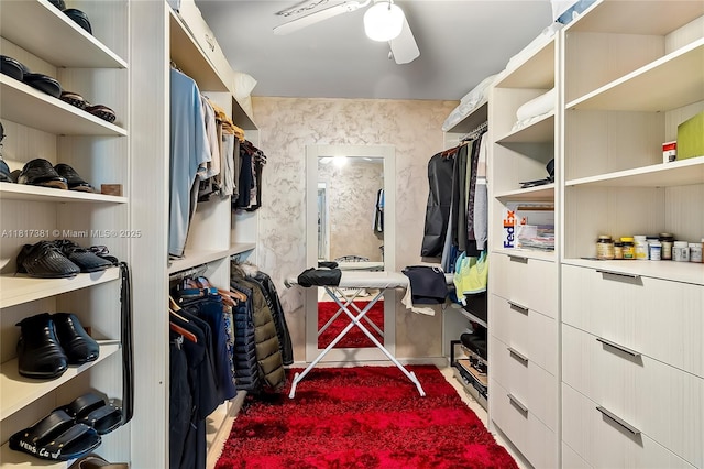 250 174th St Unit 1704, Sunny Isles Beach, FL 33160 - walk in closet with ceiling fan and carpet