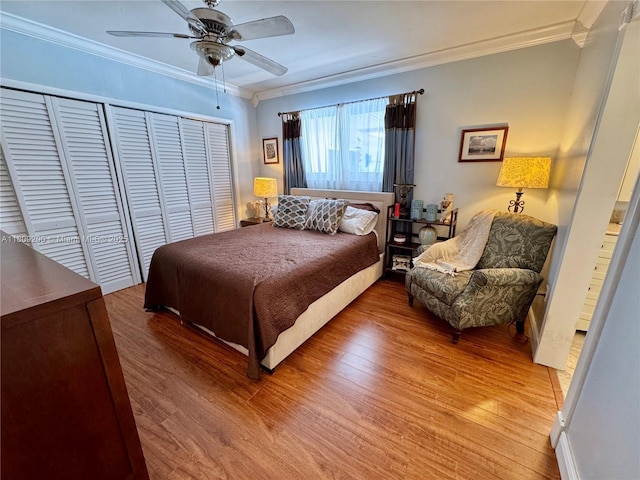 8230 SW 150th Dr, Palmetto Bay, FL 33158 - photo 13