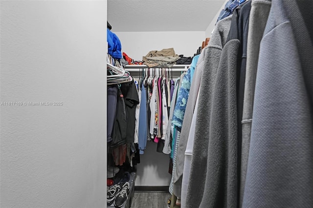 30930 SW 190th Ave, Homestead, FL 33030 - walk in closet with wood finished floors