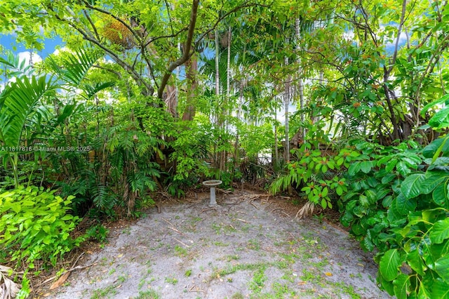 9401 SW 78th St, Miami, FL 33173 - view of yard