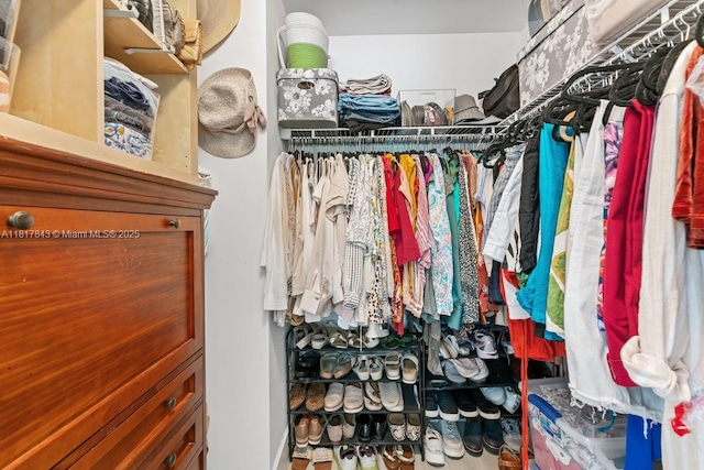 11045 SW 16th Mnr, Davie, FL 33324 - view of walk in closet