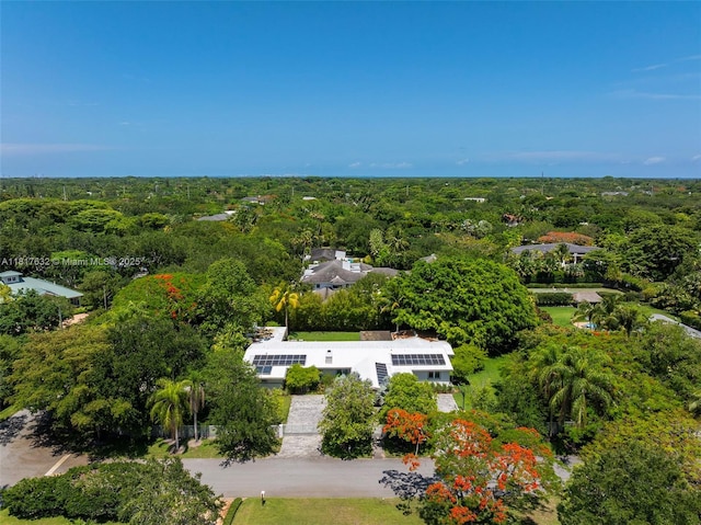 11001 SW 64th Ave, Pinecrest, FL 33156 - aerial view of a forest