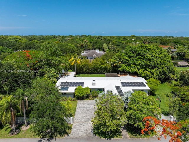 11001 SW 64th Ave, Pinecrest, FL 33156 - view from above of property with a heavily wooded area