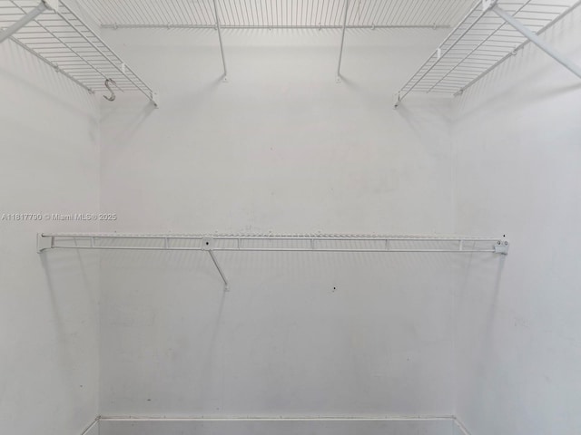 10421 SW 157th Pl Unit 301, Miami, FL 33196 - view of walk in closet