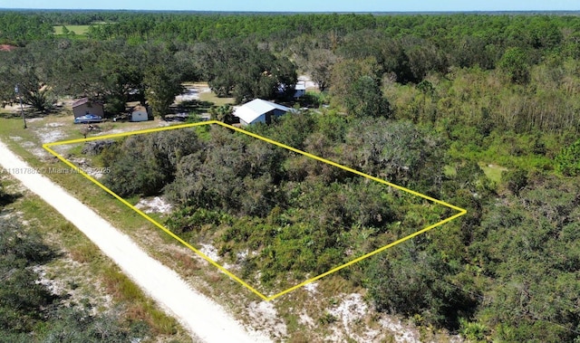 2633 N Brandon Rd, Avon Park, FL 33825 - photo 2
