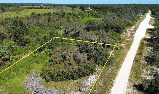 2633 N Brandon Rd, Avon Park, FL 33825 - photo 3