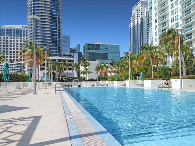 950 Brickell Bay Dr Unit 1608, Miami, FL 33131 - community pool with a city view