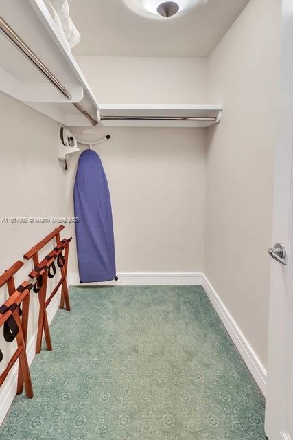 1435 Brickell Ave Unit 3011, Miami, FL 33131 - spacious closet with carpet