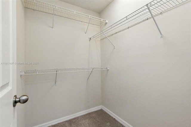 2200 Garden Belle Dr, Clermont, FL 34711 - spacious closet featuring carpet