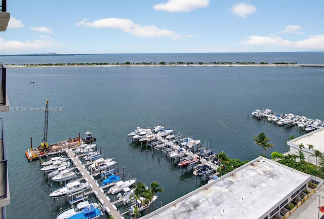1865 Brickell Ave Unit A2012, Miami, FL 33129 - photo 16