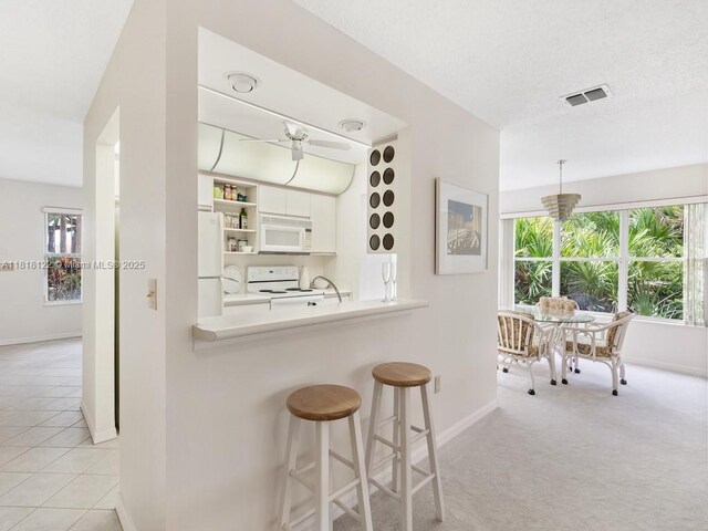 1354 Coral Park Ln Unit 603, Vero Beach, FL 32963 - living room featuring ceiling fan, light colored carpet, and a fireplace