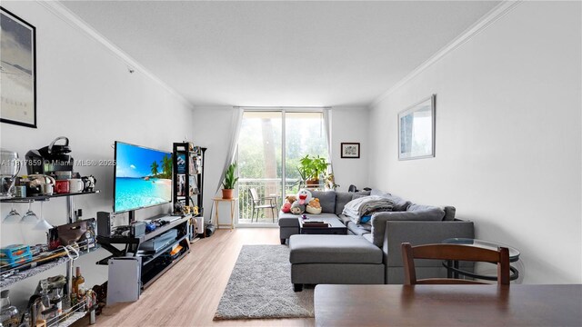 2000 N Bayshore Dr Unit 218, Miami, FL 33137 - living room featuring ornamental molding, wood finished floors, and a wall of windows