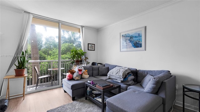 2000 N Bayshore Dr Unit 218, Miami, FL 33137 - living room with wood finished floors, ornamental molding, and a wall of windows
