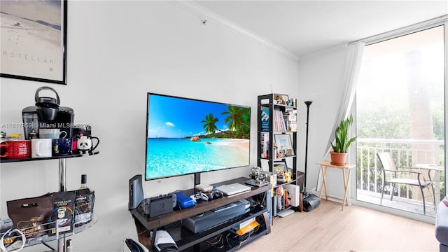 2000 N Bayshore Dr Unit 218, Miami, FL 33137 - living room featuring wood finished floors and ornamental molding