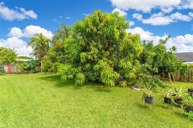 16040 SW 287th St, Homestead, FL 33033 - view of yard