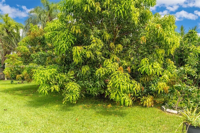 16040 SW 287th St, Homestead, FL 33033 - view of grassy yard