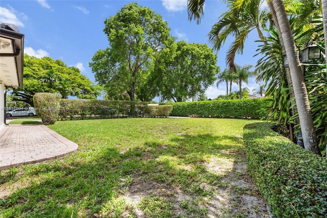 6301 Lake Geneva Rd, Miami Lakes, FL 33014 - view of grassy yard