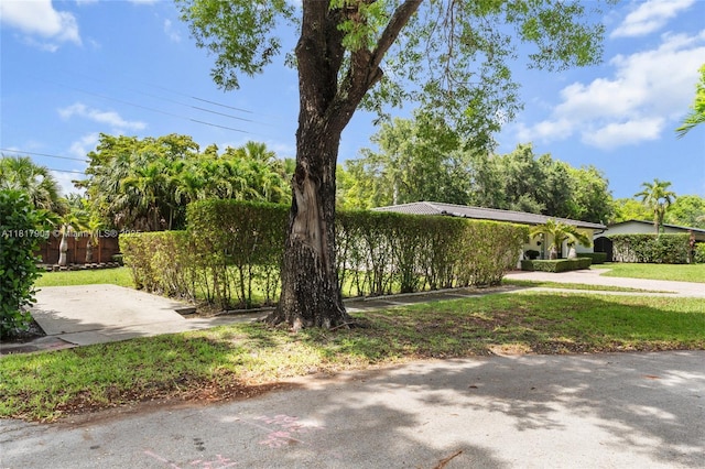 6301 Lake Geneva Rd, Miami Lakes, FL 33014 - view of yard