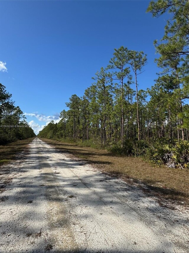 806 Belmonte Dr, Lake Wales, FL 33855 - photo 4