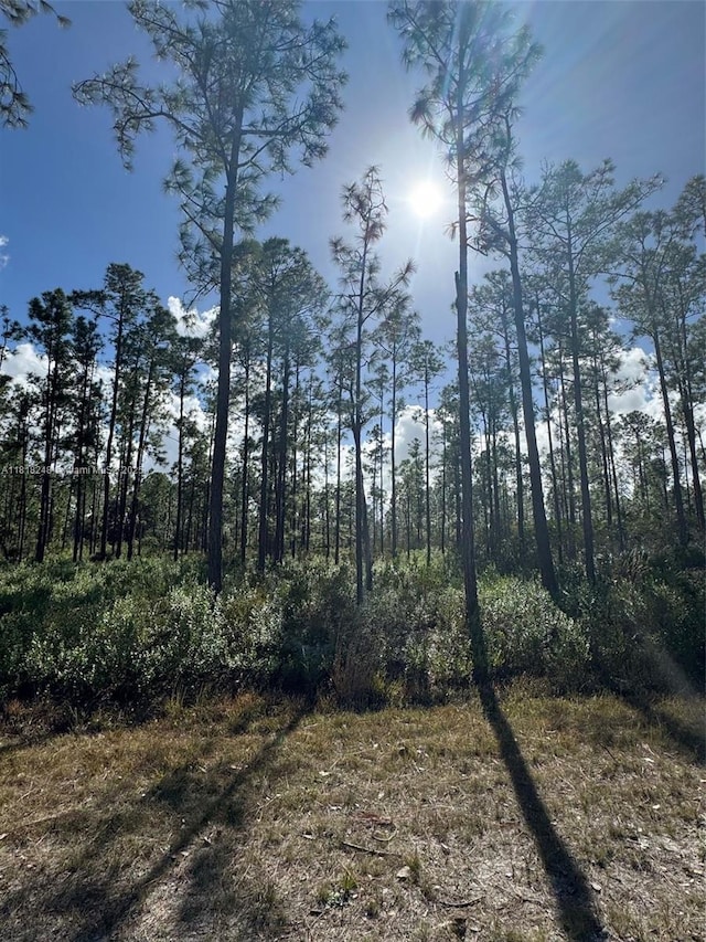 806 Belmonte Dr, Lake Wales, FL 33855 - photo 5