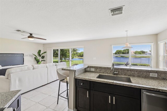 16710 NW 12th St, Pembroke Pines, FL 33028 - kitchen featuring stainless steel dishwasher, a water view, ceiling fan, dark cabinetry, and open floor plan