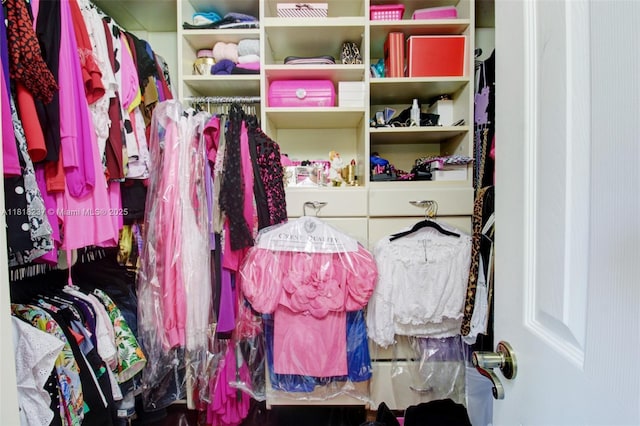 3736 SW 107th Ct, Miami, FL 33165 - view of walk in closet