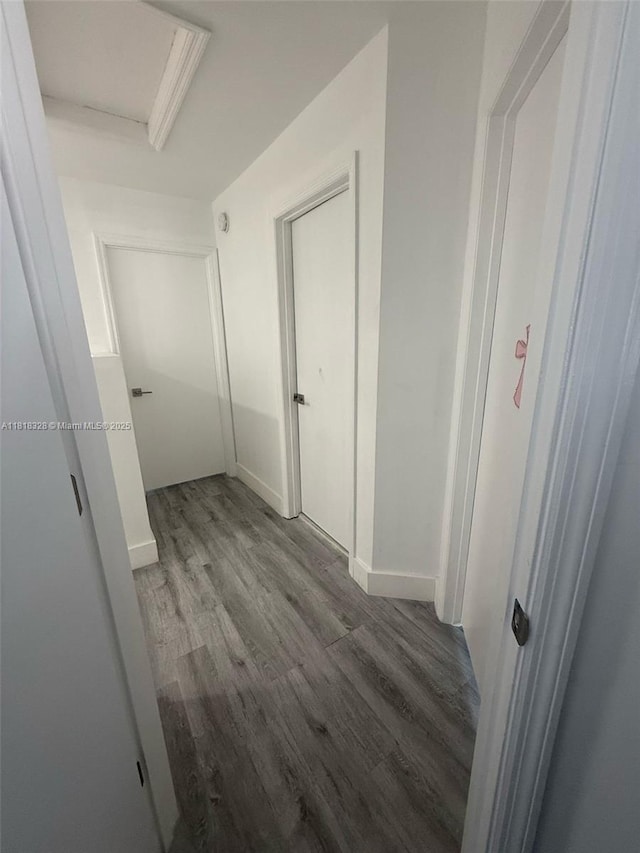 14085 SW 179th Ter, Miami, FL 33177 - corridor featuring wood finished floors and baseboards
