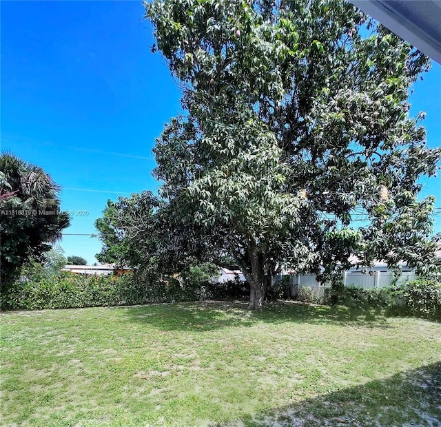 730 Alabama Ave, Fort Lauderdale, FL 33312 - view of yard