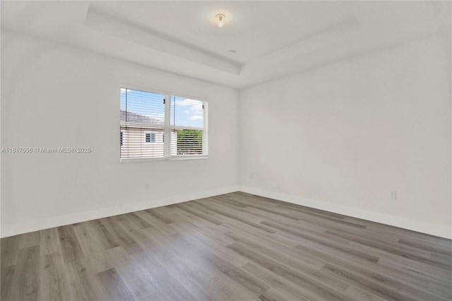 279 SE 31st Ter, Homestead, FL 33033 - unfurnished room featuring wood finished floors and a tray ceiling