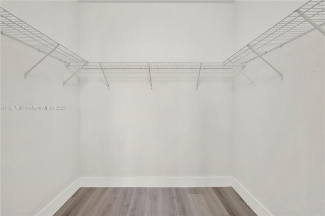 279 SE 31st Ter, Homestead, FL 33033 - walk in closet with wood finished floors