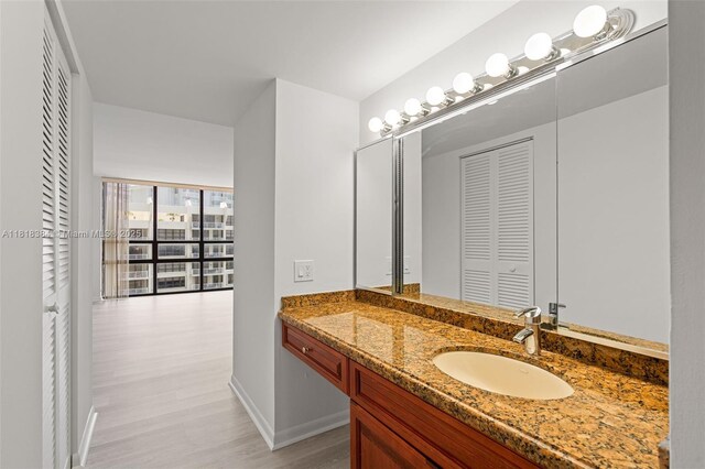 1450 Brickell Bay Dr Unit 806, Miami, FL 33131 - bathroom with vanity, wood finished floors, baseboards, and a closet